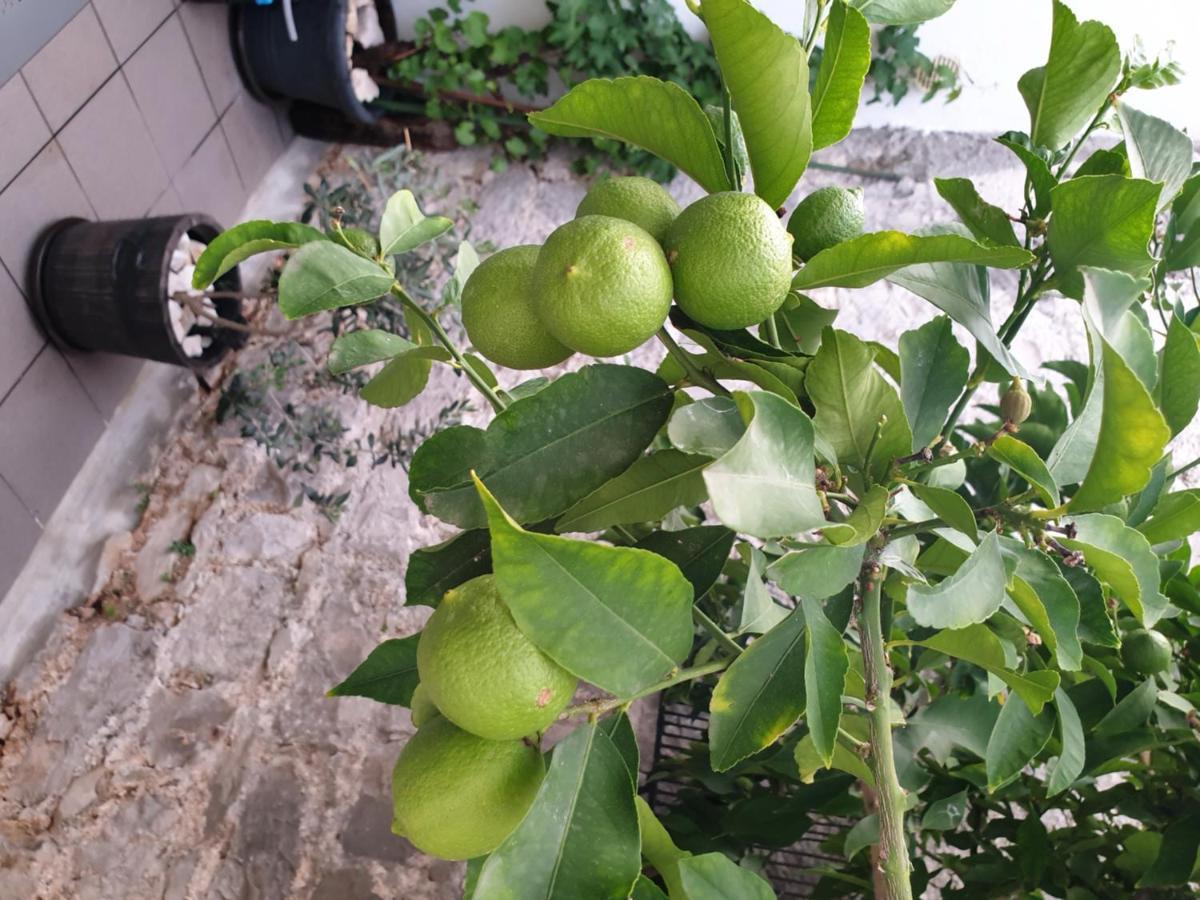 Lemon Tree Hotel Donji Seget Kültér fotó