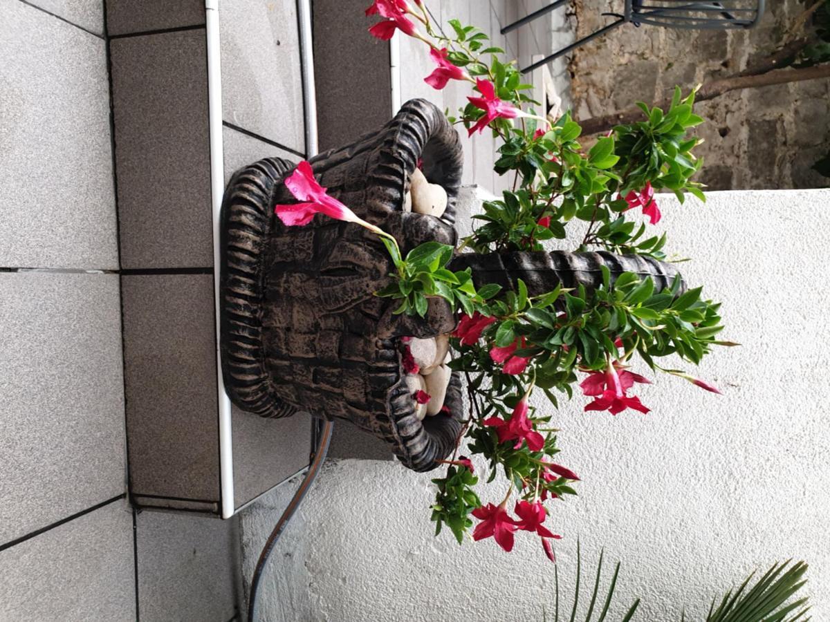 Lemon Tree Hotel Donji Seget Kültér fotó